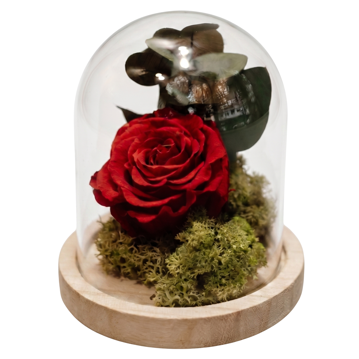 35aef6a5 79a8 4153 ad24 8d14ac7f1950