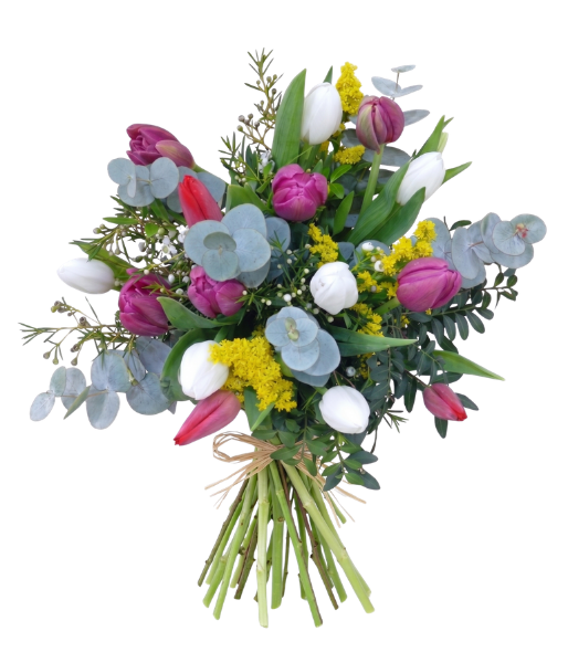 diseño sin título (1)