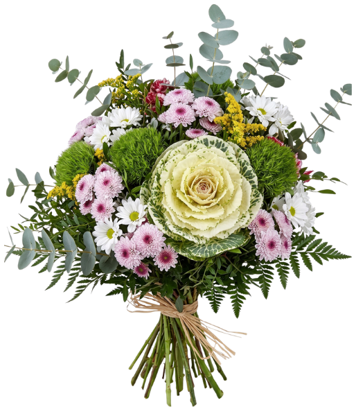 diseño sin título (1)