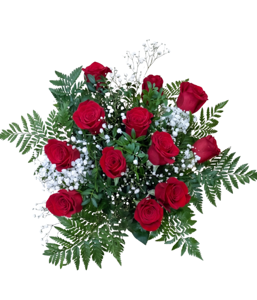 diseño sin título (1)