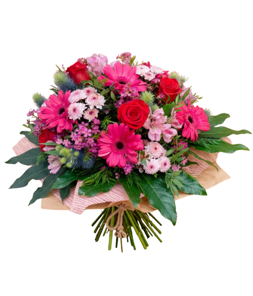 diseño sin título (2)