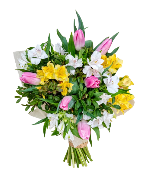 diseño sin título (2)