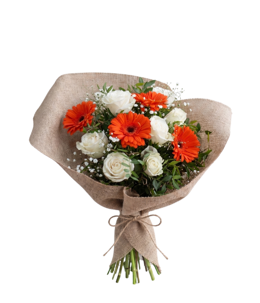 diseño sin título (3)