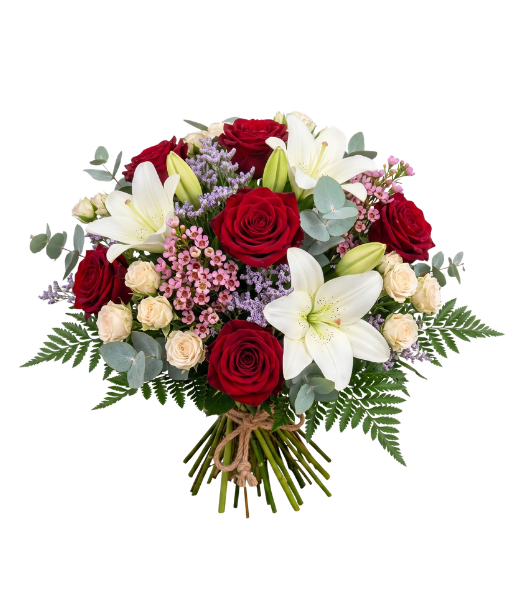 diseño sin título (3)