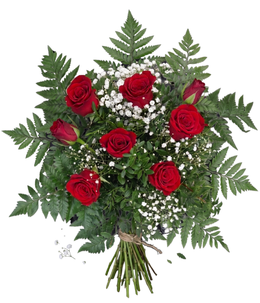 diseño sin título (4)